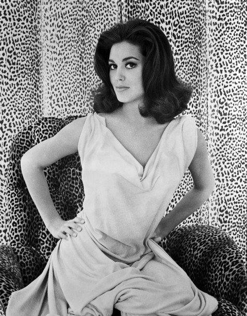 Linda Harrison on a Dress with Leopard Background Photo Print - Item # VARCEL699737