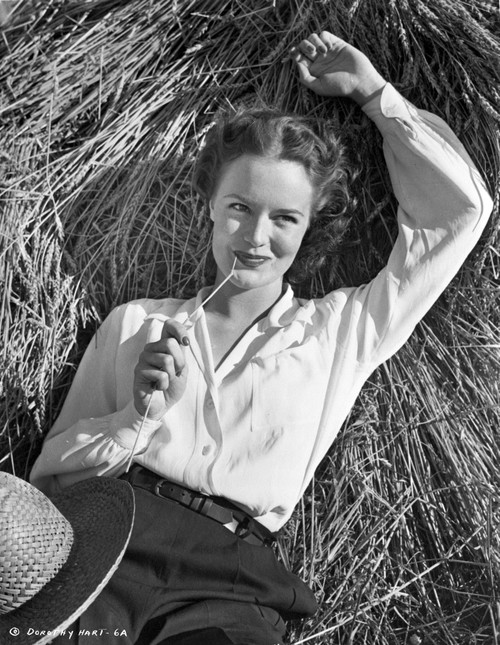 Dorothy Hart on Long Sleeve Lying on Hay Photo Print - Item # VARCEL699795