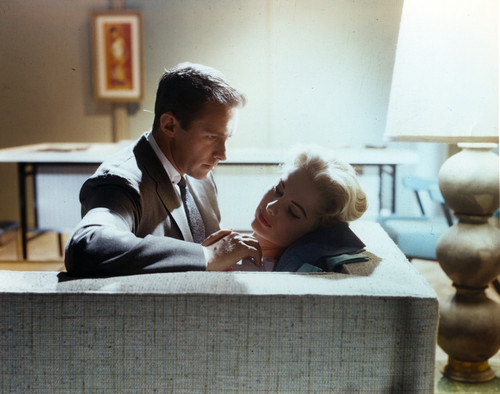 Martha Hyer Portrait Excerpt from a Film Photo Print - Item # VARCEL700273