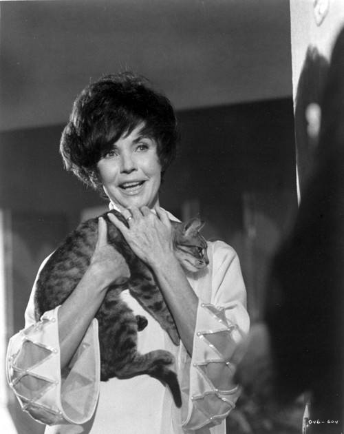 A Portrait Of Jennifer Jones Photo Print - Item # VARCEL700608