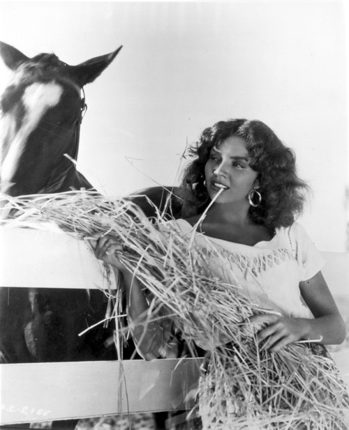 Jennifer Jones Feeding Horse with Hay Photo Print - Item # VARCEL700617
