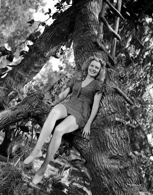 Brenda Joyce sitting on a Tree Photo Print - Item # VARCEL700698