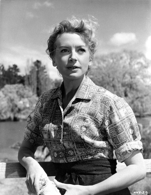 Deborah Kerr on a Printed Top and posed Photo Print - Item # VARCEL700950