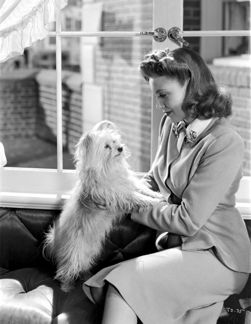 Joan Leslie on a Blazer and Holding a Dog Photo Print - Item # VARCEL701405