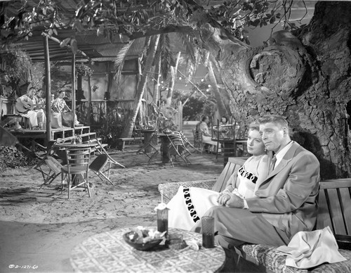 From Here To Eternity Sweet Couple sitting under the Tree Photo Print - Item # VARCEL701565