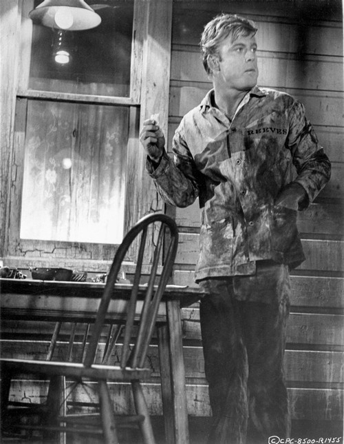 Chase Feeling Scared in The Kitchen Photo Print - Item # VARCEL702081