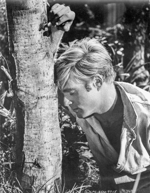 Chase Feeling Wasted in The Tree Photo Print - Item # VARCEL702089