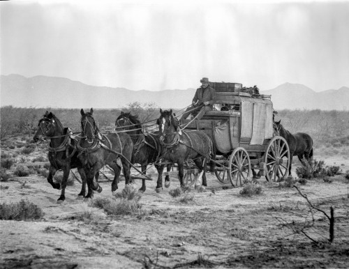 Hombre Group of People Searching in Black and White Photo Print - Item # VARCEL702132