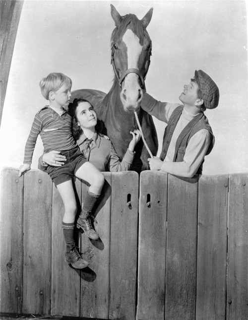 National Velvet Children Looking at Horse Photo Print - Item # VARCEL702825