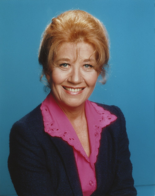 Facts Of Life smiling in Blue Background Portrait Photo Print