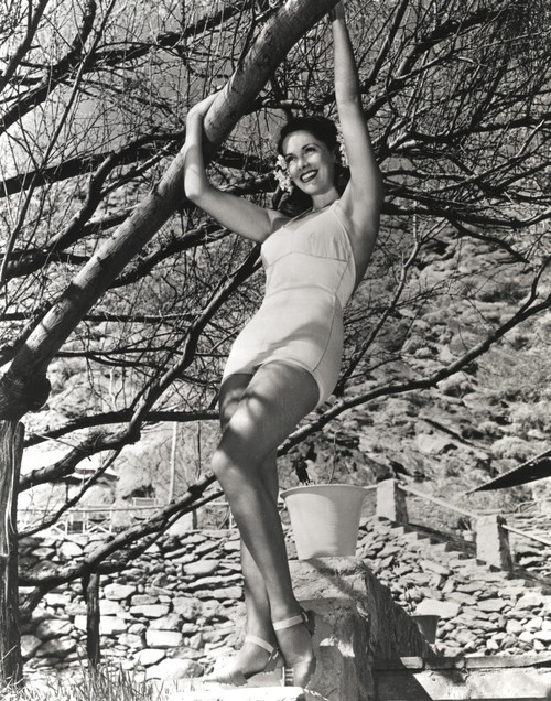 Jinx Falkenburg Hanging on a Tree Photo Print - Item # VARCEL688970