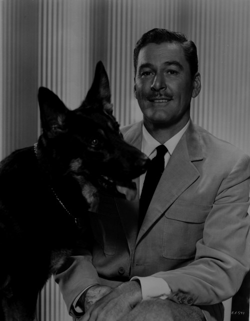 Errol Flynn Photo Print - Item # VARCEL689206