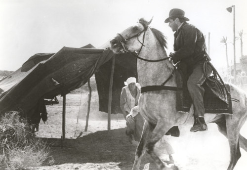 Film still from Indiana Jones Photo Print - Item # VARCEL689419
