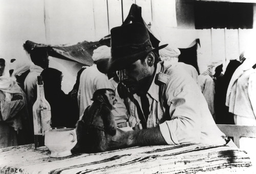 Harrison Ford on the set of Raiders of the Lost Ark Photo Print - Item # VARCEL689432