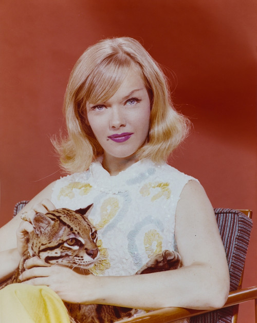 Anne Francis sitting with Baby Leopard Red Background Portrait Photo Print - Item # VARCEL689500