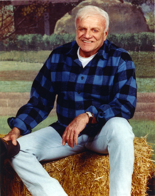 Brian Keith Pose in Checkered Polo Photo Print - Item # VARCEL689582