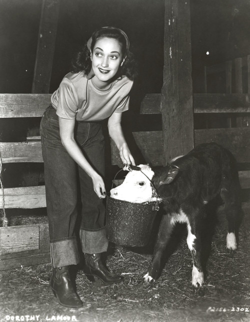 Dorothy Lamour Feeding in Classic Photo Print - Item # VARCEL689906