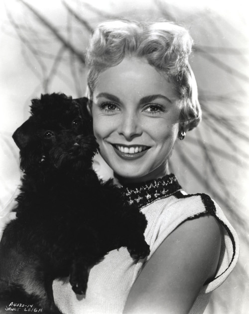 Janet Leigh posed in Classic Portrait with Black Dog Photo Print - Item # VARCEL690216