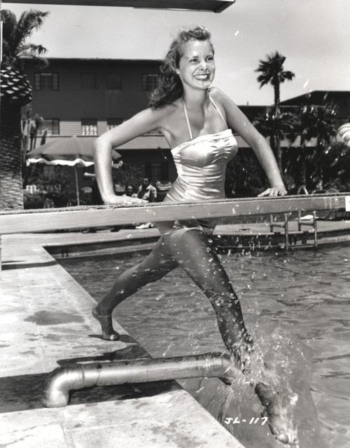 Janet Leigh Photo Print - Item # VARCEL690271