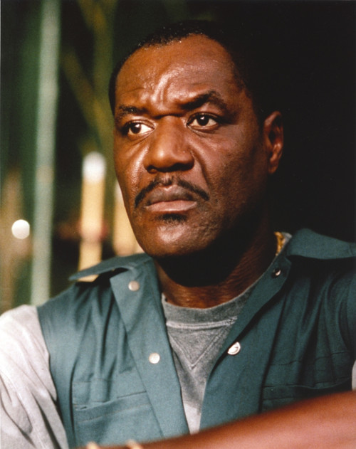 Delroy Lindo Close Up Portrait Photo Print - Item # VARCEL690343