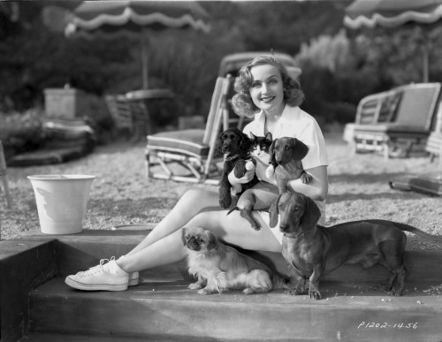 Carole Lombard with Dogs in Classic Portrait Photo Print - Item # VARCEL690393
