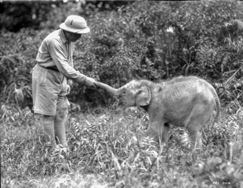 Frank Buck Photo Print - Item # VARCEL690916