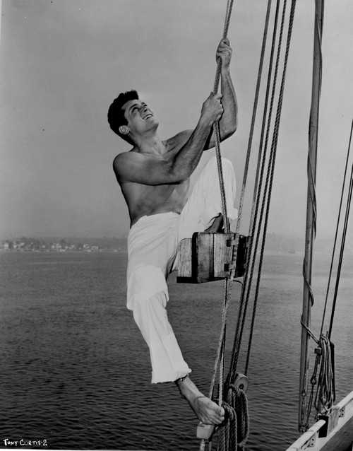 Tony Curtis Photo Print - Item # VARCEL691348