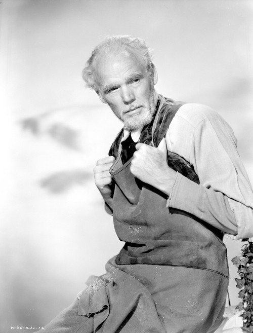 Henry Hull Photo Print - Item # VARCEL692110