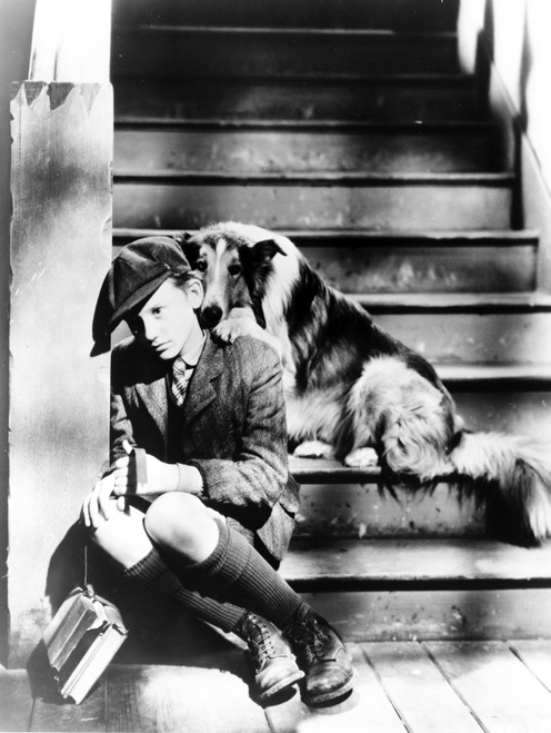 Roddy Macdowell Photo Print - Item # VARCEL692457