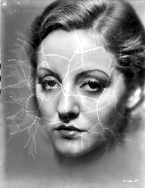 A Portrait Of Talullah Bankhead Photo Print - Item # VARCEL693364