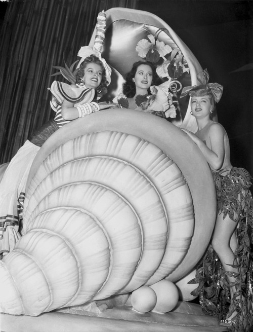 Judy Garland and other beauties from Ziegfeld Girl 1941 Photo Print - Item # VARCEL694132