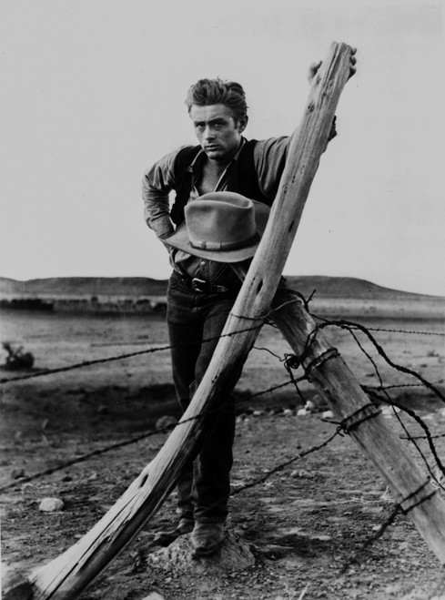James Dean Posed in Black Vest and Long Sleeve Shirt while Left Hand on the Wood Leaning on a Wired Fence Photo Print - Item # VARCEL694178