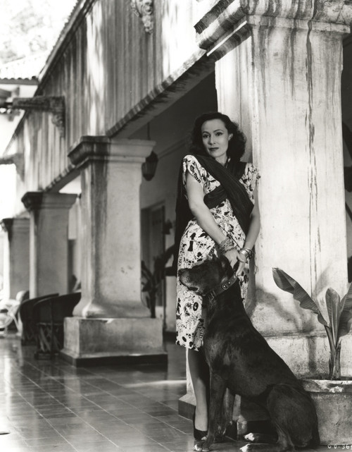 Dolores Del Rio Posed in Classic with a Dog Photo Print - Item # VARCEL694537