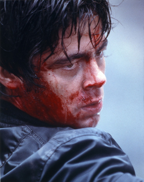 Benicio Del Toro Bleeding Close Up Portrait Photo Print - Item # VARCEL694567