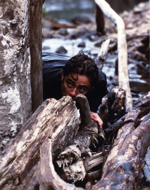 Benicio Del Toro Hiding in Woods Photo Print - Item # VARCEL694575