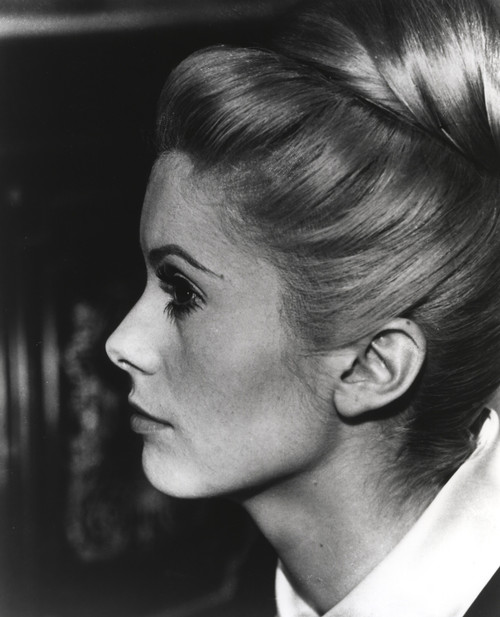 Catherine Deneuve Side view Pose with Bun Hairstyle Photo Print - Item # VARCEL694756