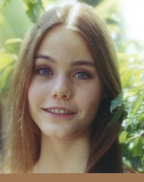 Susan Dey smiling smiling with Leaves on Background Photo Print - Item # VARCEL694913