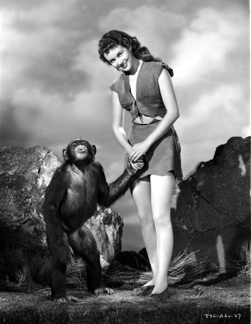 Vanessa Brown Hollywood Print Photo Print - Item # VARCEL695161