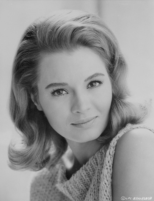 Angie Dickinson Showing a Little Smile in Classic Close Up Portrait Photo Print - Item # VARCEL695182