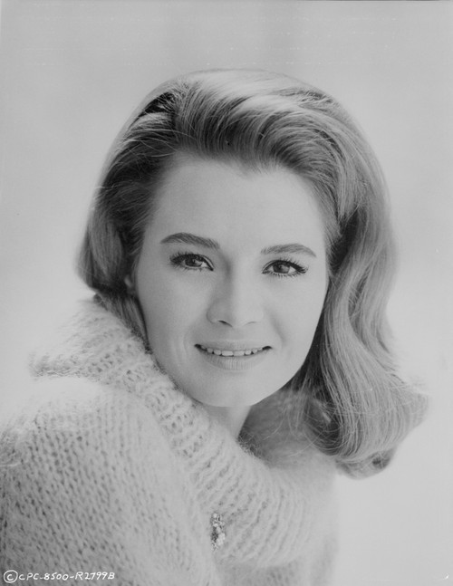 Angie Dickinson in Sweater Classic Close Up Portrait Photo Print - Item # VARCEL695186