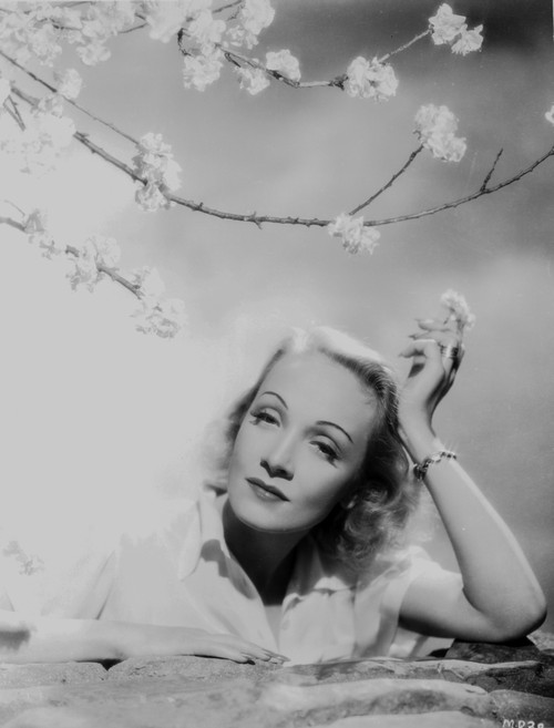 Marlene Dietrich Leaning on Chair, wearing Coat Photo Print - Item # VARCEL695402