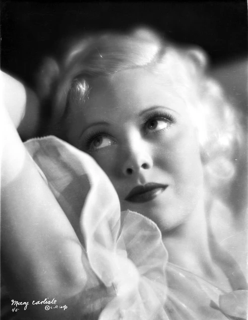 Mary Carlisle Close Up Portrait Lying on Bed Photo Print - Item # VARCEL695629