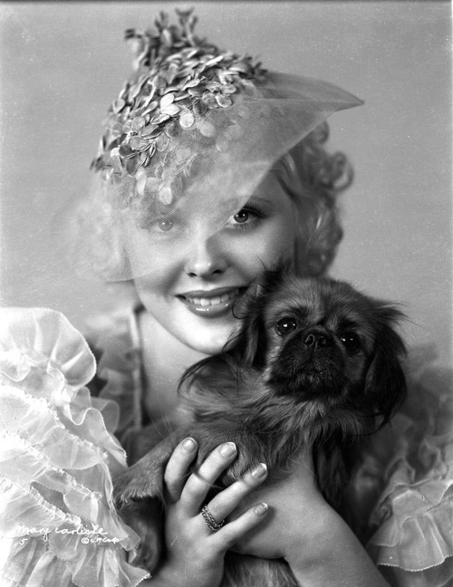 Mary Carlisle Portrait Holding a Puppy Photo Print - Item # VARCEL695711