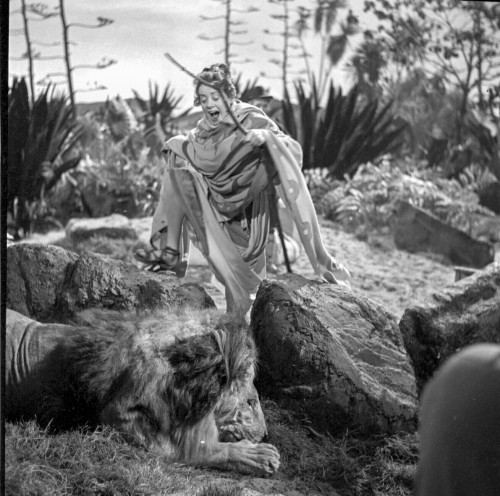 A scene from Androcles and the Lion Photo Print - Item # VARCEL703060