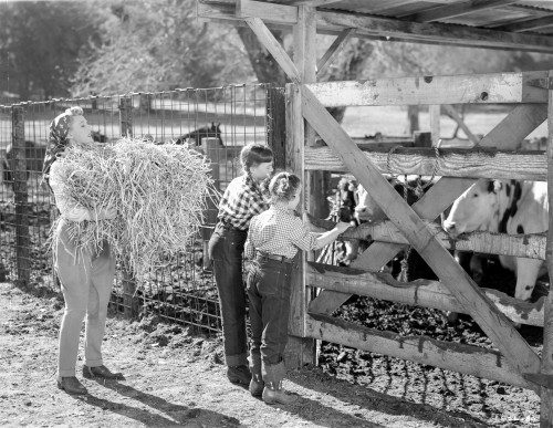 A scene from Hollywood Hotel Photo Print - Item # VARCEL703680