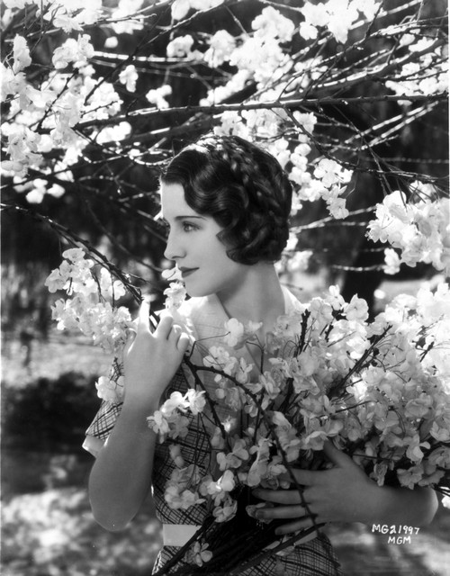 Norma Shearer Portrait in Plaid Dress Photo Print - Item # VARCEL704303