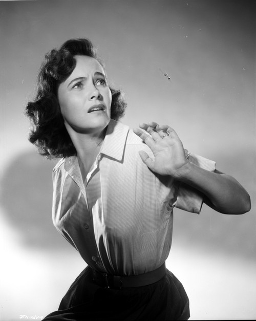 Teresa Wright Posed in Classic Photo Print - Item # VARCEL705795