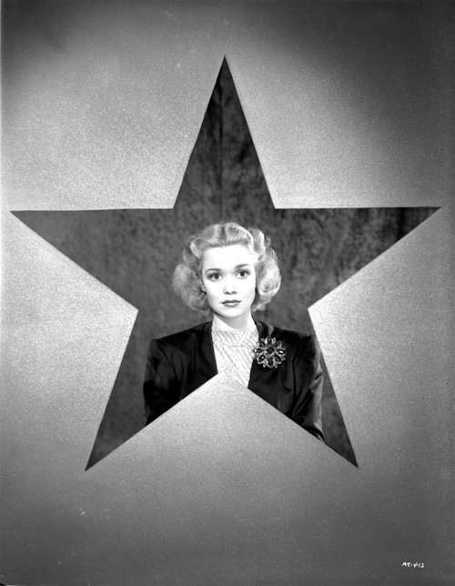 Jane Wyman Posed in Black Velvet Long Sleeve Shirt and White scarf with Brooch Photo Print - Item # VARCEL705890