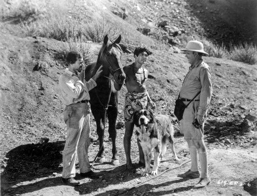 A scene from Mr Robinson Crusoe Photo Print - Item # VARCEL706641