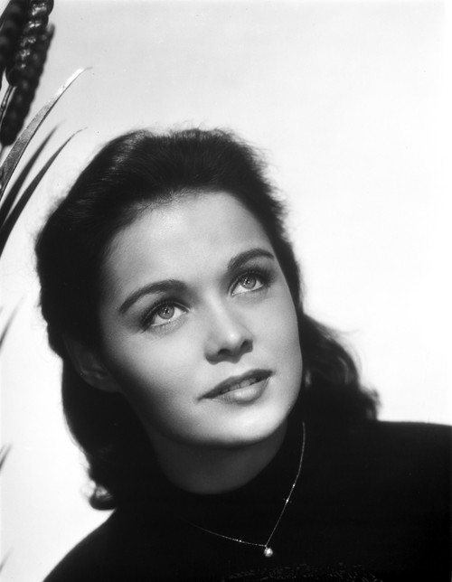Joan Blackman Portrait in Classic Photo Print - Item # VARCEL706960